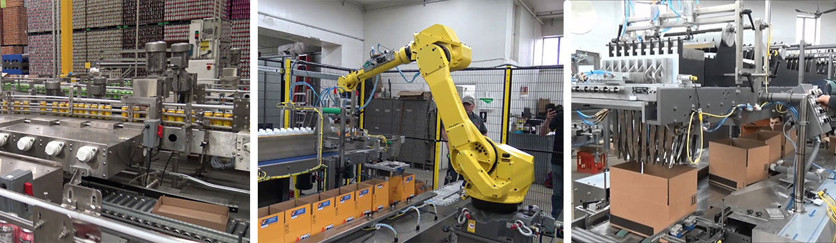 Packaging Integration Packaging Integration