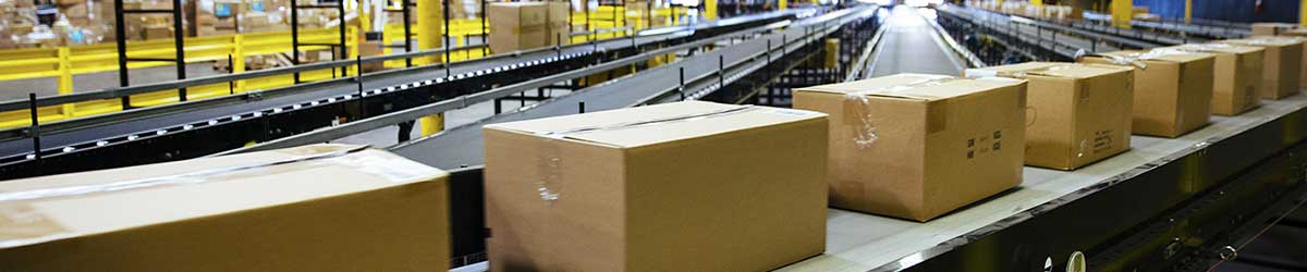 Packaging Integration